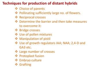 Wide Hybridization Ppt