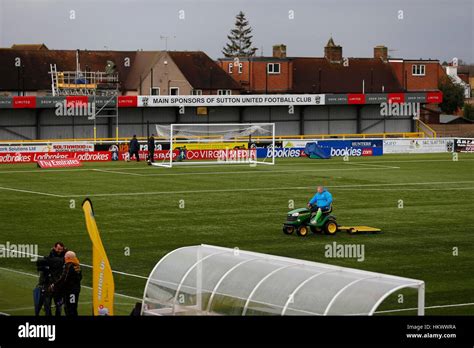 Sutton United Goalkeeper Wayne Shaw attends to the artificial pitch ...