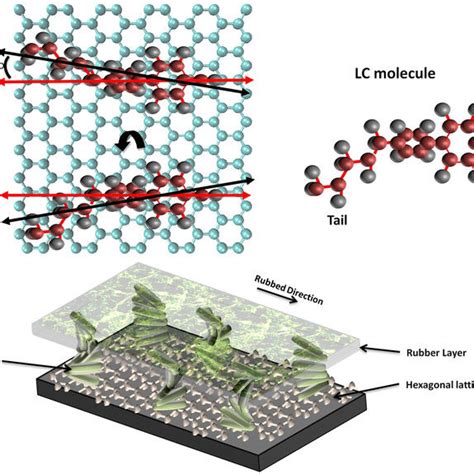 Schematics Of Liquid Crystal Alignment On Hexagonal Lattice A Download Scientific Diagram