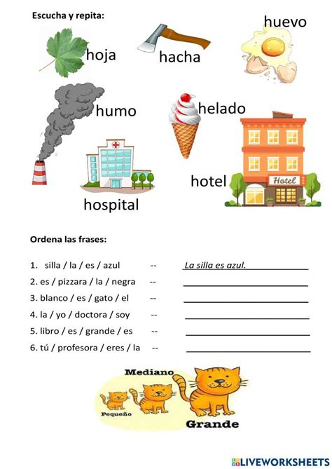 Verbo Ser 910469 Olga Live Worksheets