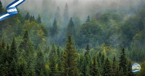 Parque Nacional Pico Pijol Espaciohonduras