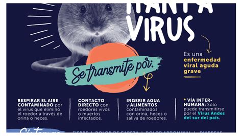 Ltimas Noticias Sobre Hantavirus