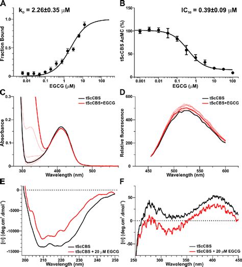 Egcg Does Not Bind Plp A Mst Analysis At Increasing Concentration