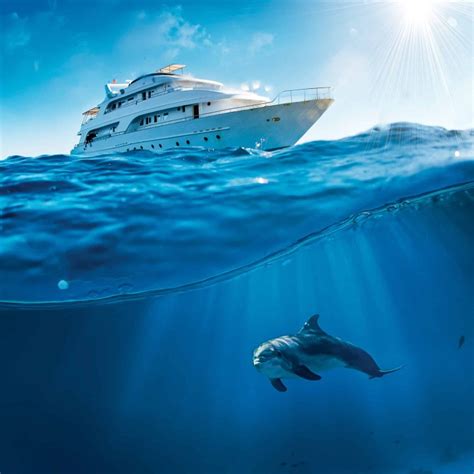 Global Acoustic Transducers For Boats Market Future Scope Demands And