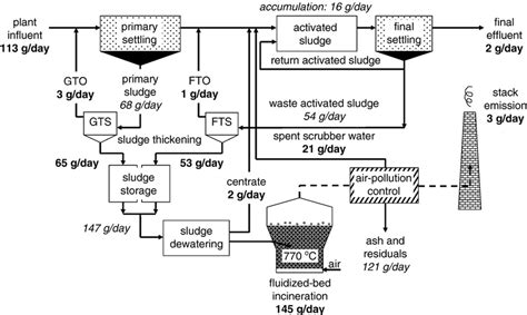 Schematic Diagram Showing Mass Flow Rates Of Hg In Various Process Download Scientific Diagram