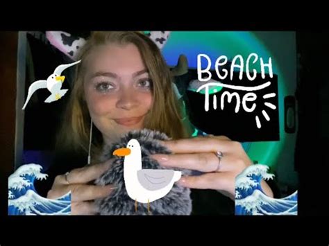 ASMR Beach Ocean Sounds Seagull Noises Wave Sounds YouTube