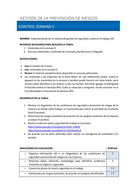 S Control Resumen Gestion De La Prevencion De Riesgos Nombre