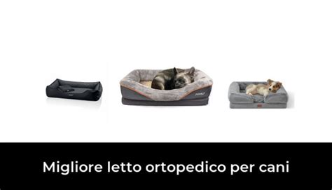 Migliore Letto Ortopedico Per Cani Nel Secondo Gli Esperti