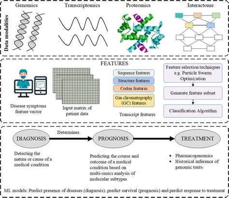 Frontiers A Review Of Multi Omics Data Integration Through Deep