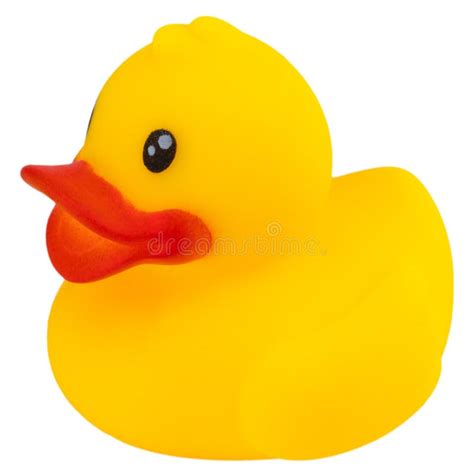 Yellow Rubber Duck Isolated On White Background Stock Image Image Of