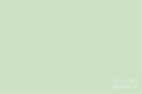 Pale Pastel Green Solid Color Pairs Trending Hue Dunn Edwards Soft