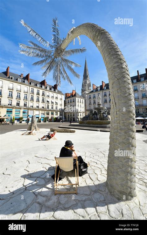 France Loire Atlantique Nantes Place Royale And Fountain And Saint