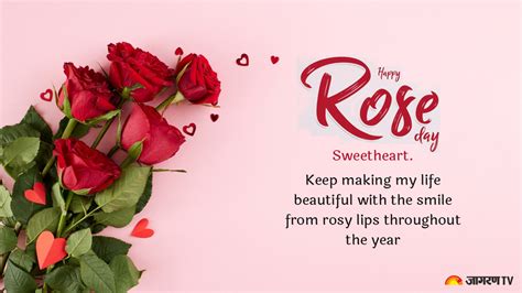 Happy Rose Day 2024 Send Heartwarming Wishes Messages Quotes And