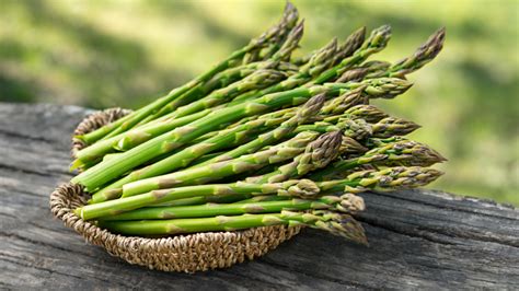 The Asparagus Man Sheltering With The Loons