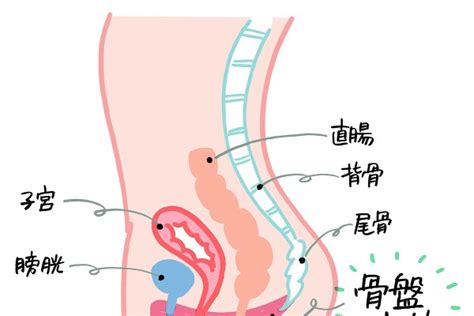 下半身がきゅっと引き締まる⁉ 話題の「膣トレ」3つの基本の動きをマスター！（maquia Online）