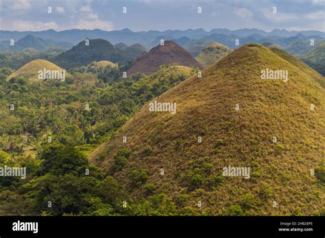 Geological formation The Chocolate Hills on Bohol island, Philippines Stock Photo - Alamy