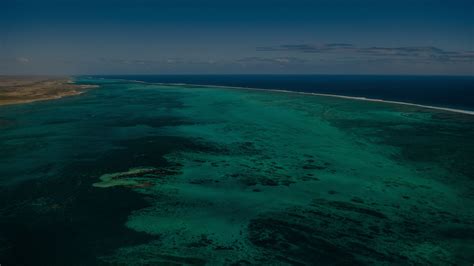 Corporate Partners Great Barrier Reef Foundation Great Barrier Reef