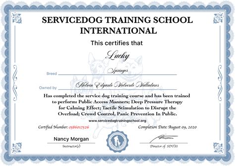 Service Dog Training School International - Certified Intensive Psychiatric Service Dog Training ...