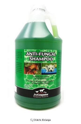 First Companion Anti Fungal Shampoo All Veterinary Supply