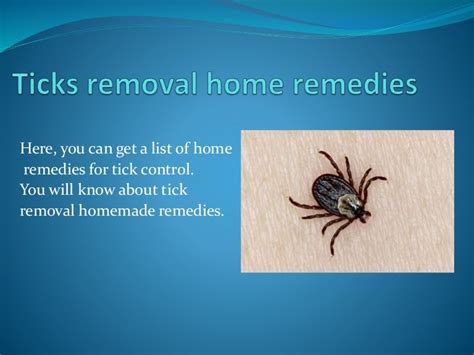 Ticks removal home remedies