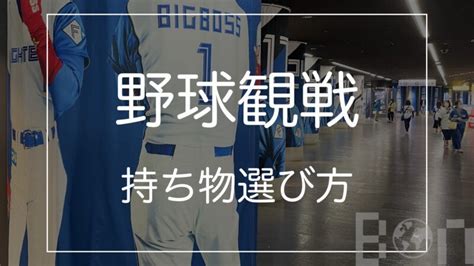 【はじめてでも大丈夫！】野球観戦の「持ち物」選び方（全シーズン対応） Bon Bon Voyage