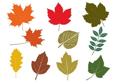 Fall Leaves Vector Pack 51221 Vector Art at Vecteezy