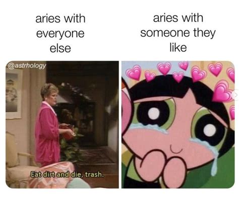 Funny Aries Memes For All You Fiery Rams 21 Memes Aries Zodiac