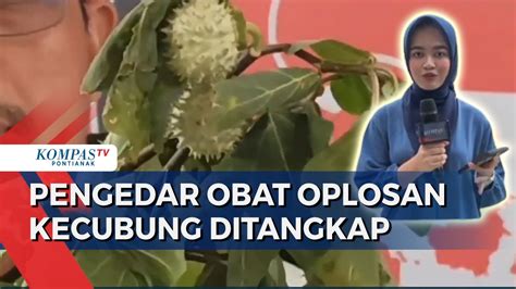 Orang Tewas Puluhan Dirawat Polisi Tangkap Empat Pengedar Obat