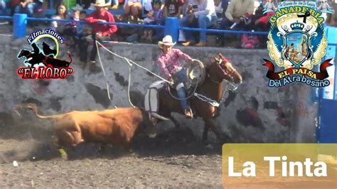 Salio Como Alma Que Lleva El Diablo Este Toro Latinta Del Paiza En El