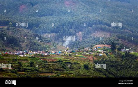 Beautiful Agriculture Farm Field View In Vattavada In Munnar Idukki