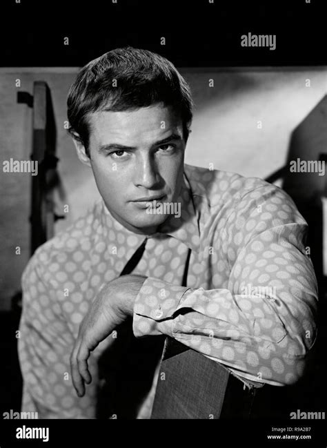 Marlon brando shirt hi-res stock photography and images - Alamy