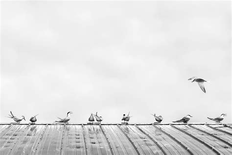 6 Important Elements In Minimalist Photography And Why They Work