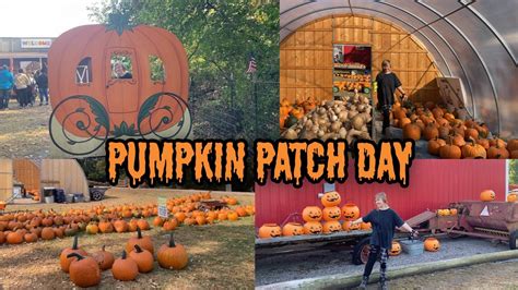 Pumpkin Patch Vlog Youtube