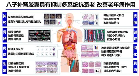 首届世界中联国际抗衰老高峰论坛发布抗衰老最新研究成果，中医气络学说精气神理论揭示衰老关键病机新闻资讯 药品库 尚言健康