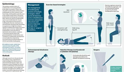 Tendinopathy: Diagnosis, Treatment & Prevention | Doctors Without ...