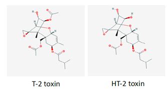 Introduction Risk Assessment Of T And Ht Mycotoxins In Food