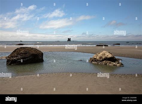 Wa22195 00washington Rocks And Tide Pools At Lowtide On Oil City