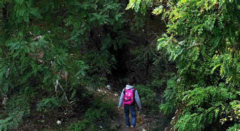 Bambina Di Cinque Anni Trovata In Fin Di Vita In Un Parco Morta In