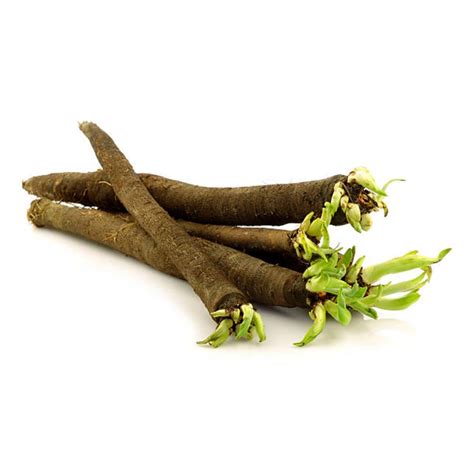 Salsify (500g) - First Choice Produce