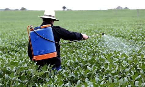 Tudo Que Voc Precisa Aprender Sobre Agrot Xicos