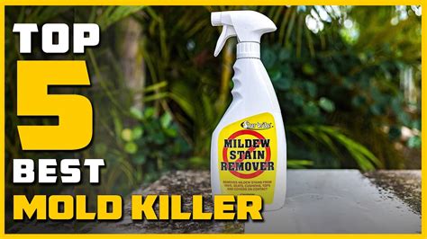 Best Mold Killer In 2023 Top 5 Mold Killer Review Youtube