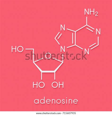 Adenosine Ado Purine Nucleoside Molecule Important Stock Illustration