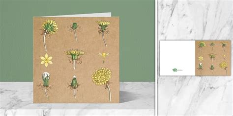 Dandelion Greeting Card Twinkl Party Professor Feito