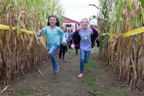 Halloween Corn Maze