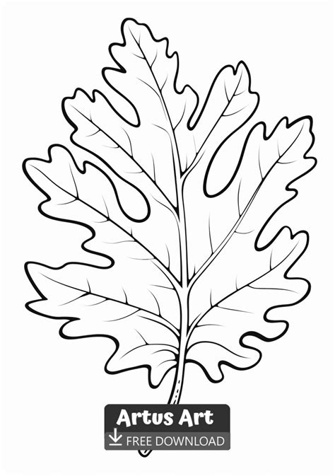 Oak Leaf Coloring Page Free Pdf Download