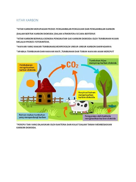 Kitar Karbon Pdf