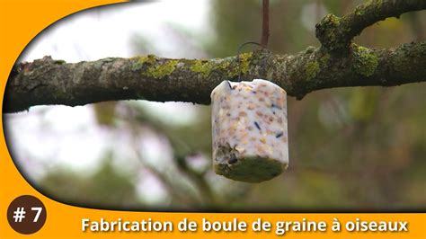 L Atelier Du Jardin Fabrication D Une Boule De Graine Pour Oiseaux