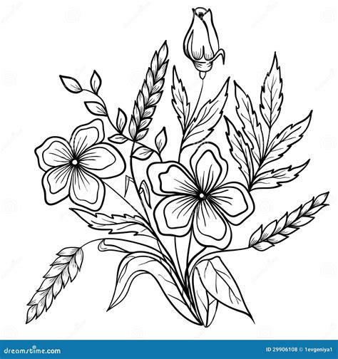 Arrangement Of Flowers Black And White. Outline Drawing Stock Vector ...