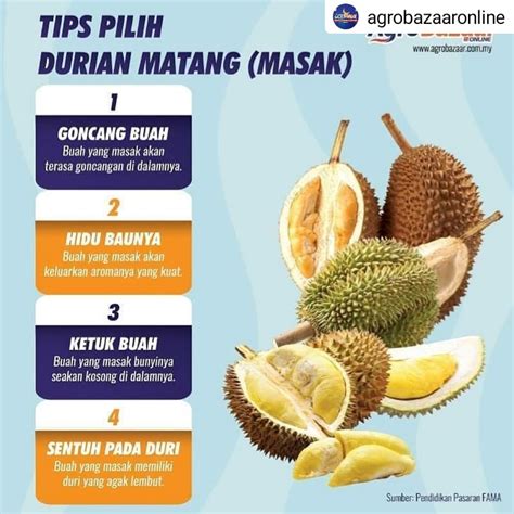 Fama Malaysia On Twitter Assalamualaikum Musim Durian Sudah Tiba