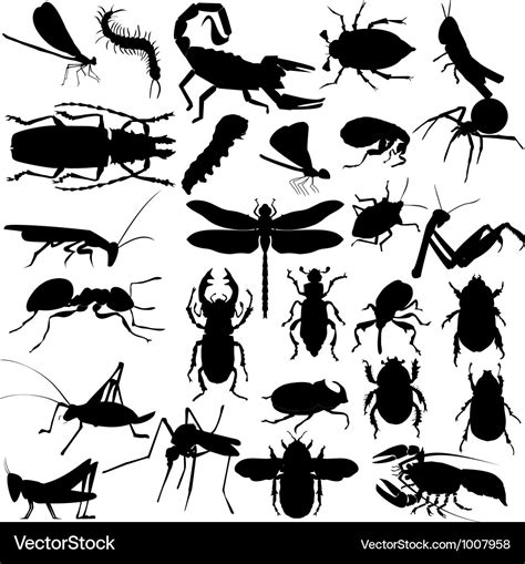 Silhouettes Of Insects Royalty Free Vector Image